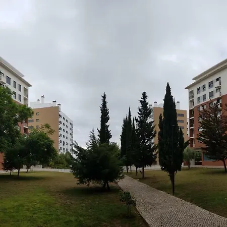 City Sky Apartment